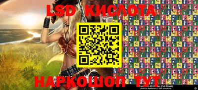 СК Дубна