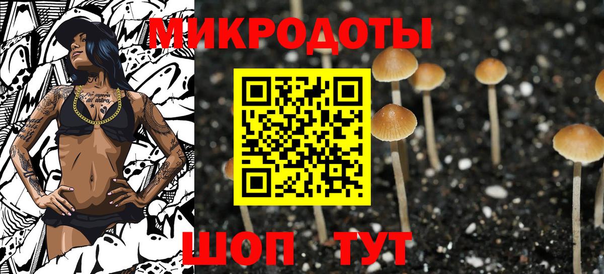 Павлово  Галлюциногенные грибы Psilocybe  Вход с VPN  Галлюциногенные грибы MAGIC MUSHROOMS 