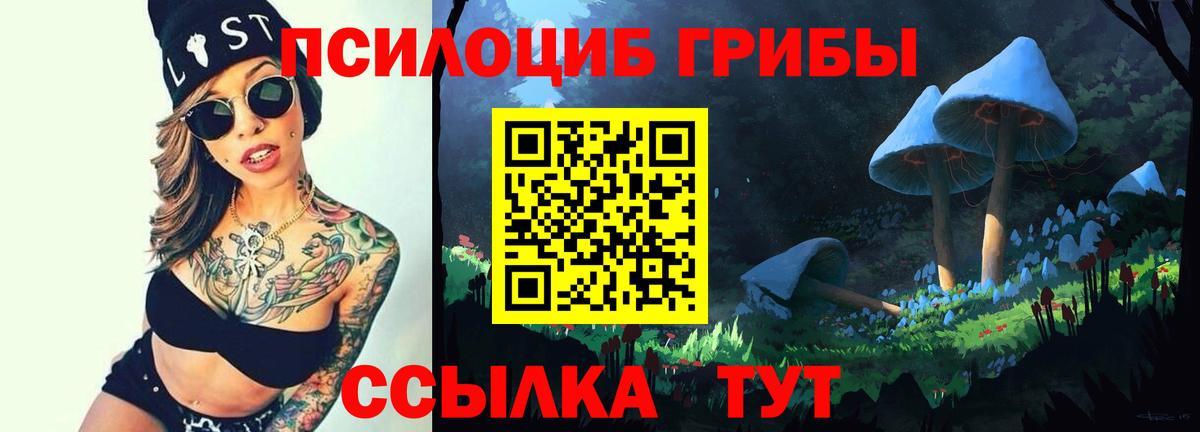 Псилоцибиновые грибы ЛСД Павлово
